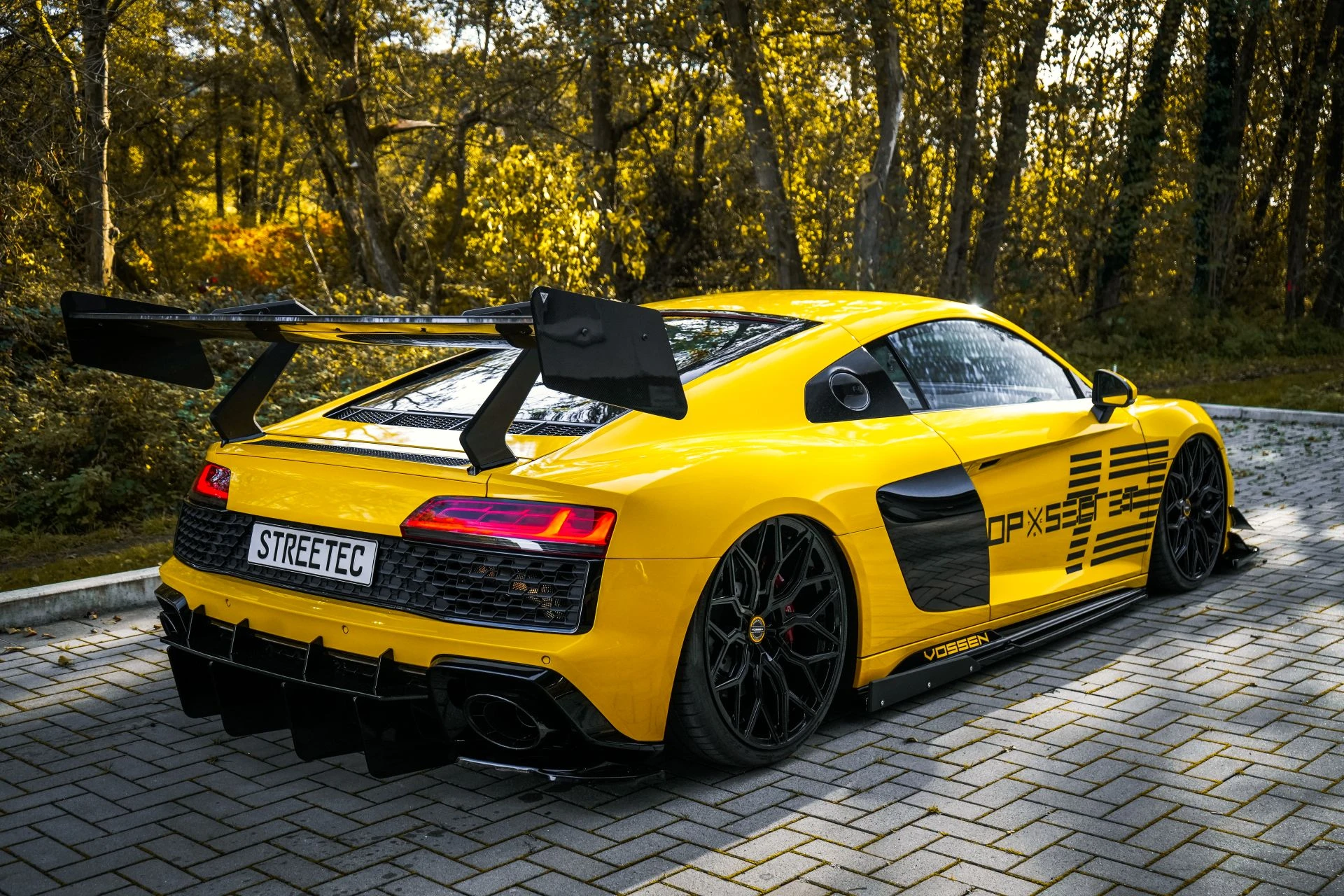 Audi R8 V10 TSC - Projekt Bild