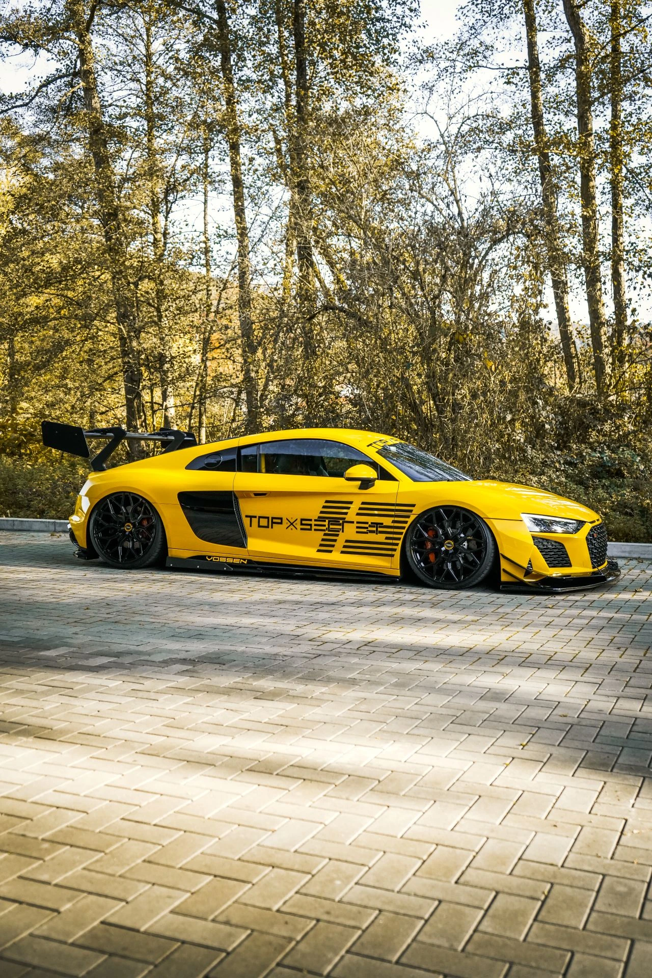 Audi R8 V10 TSC - Projekt Bild