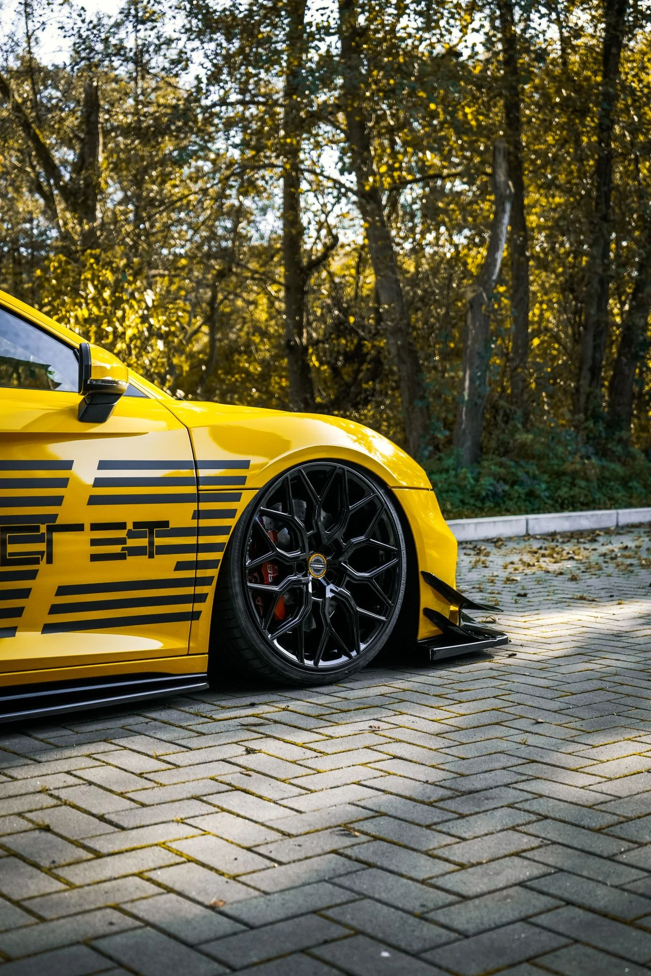 Audi R8 V10 TSC - Projekt Bild