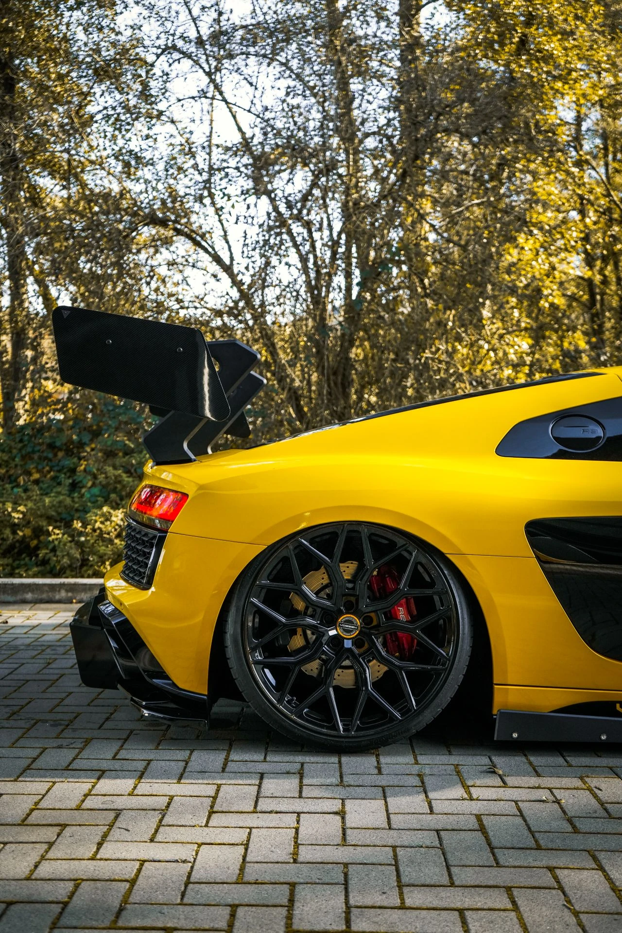 Audi R8 V10 TSC - Projekt Bild