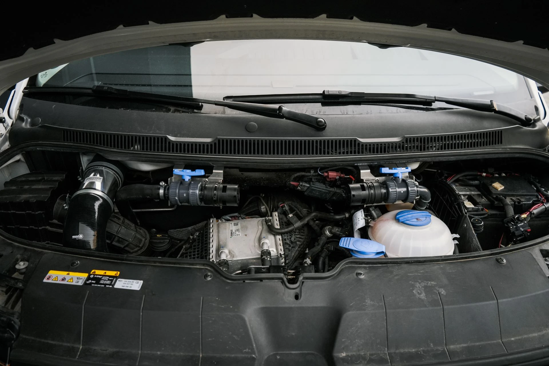 VW T6.1 WHITE-YELLOW - Projekt Bild