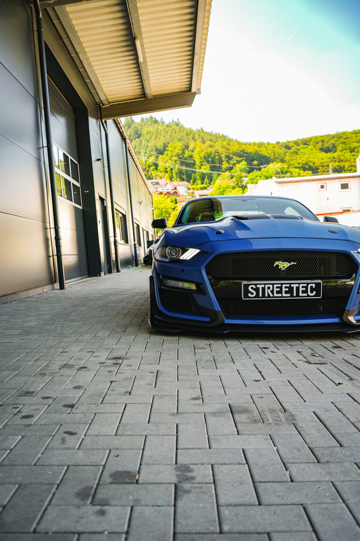 Ford Mustang S550 DRAGO - Projekt Bild