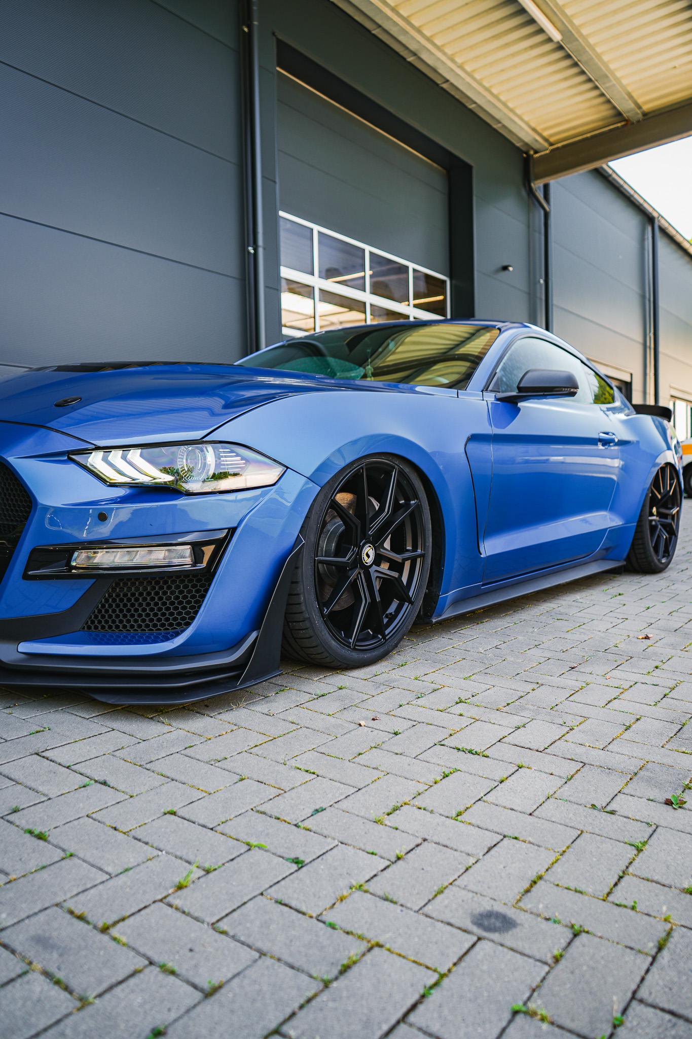 Ford Mustang S550 DRAGO - Projekt Bild
