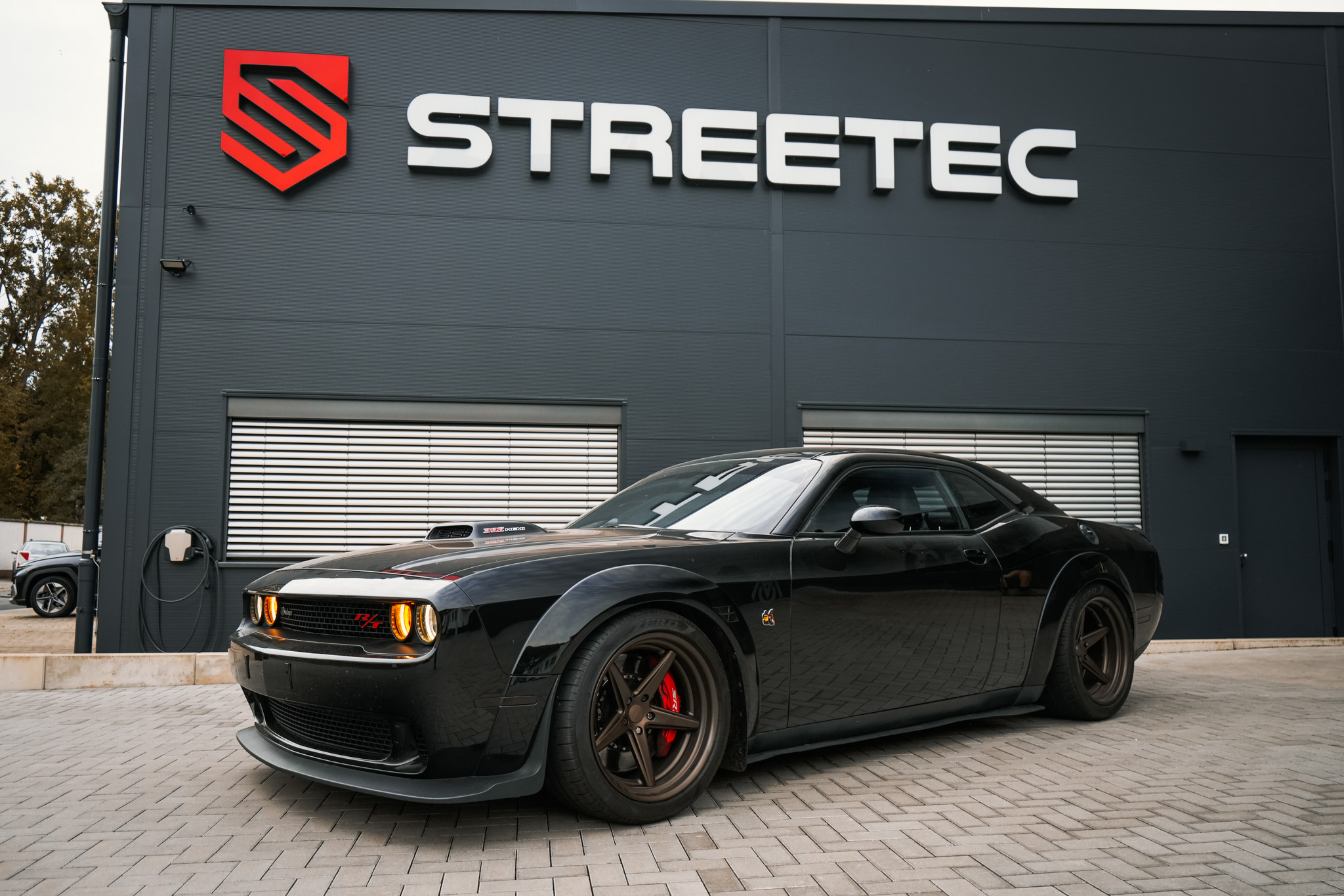 Dodge Challenger R/T Scatpack 392 Super Bee - Projekt Bild